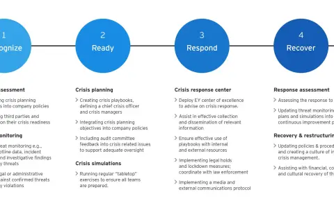Digital Incident Response and Crisis Management for Civil Society